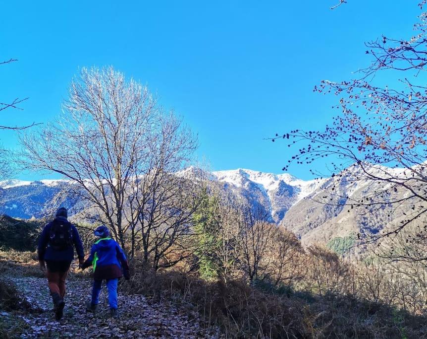 Maison 13 Pers A 10Mn De Luchon Cazaux-Layrisse Εξωτερικό φωτογραφία